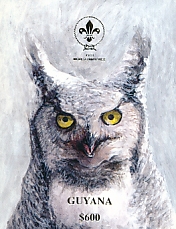 Eurasian Eagle-Owl Bubo bubo  1993 Scouts 