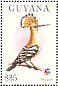 Eurasian Hoopoe  Upupa epops