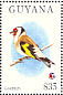 European Goldfinch Carduelis carduelis