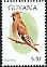 Bohemian Waxwing Bombycilla garrulus  1995 Birds of the world 