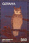 Great Horned Owl Bubo virginianus