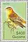 Bobolink Dolichonyx oryzivorus  2007 Birds of South America  MS MS