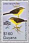 Golden-crowned Warbler Basileuterus culicivorus  2010 Overprint Haiti Earthquake...on 2007.02 Sheet