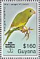 White-winged Parakeet Brotogeris versicolurus