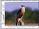 Crested Caracara Caracara plancus  2012 Birds of South America Sheet