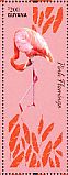 Chilean Flamingo Phoenicopterus chilensis  2014 Flamingos Sheet