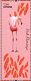 Chilean Flamingo Phoenicopterus chilensis  2014 Flamingos Sheet