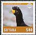 Black Curassow Crax alector  2014 Animals and birds 20v set