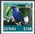 Purple Honeycreeper Cyanerpes caeruleus