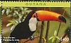 Toco Toucan Ramphastos toco