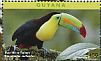 Keel-billed Toucan Ramphastos sulfuratus