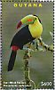 Keel-billed Toucan Ramphastos sulfuratus