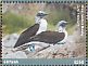 Blue-footed Booby Sula nebouxii  2017 Wildlife of Galapagos 6v sheet