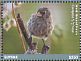 Small Ground Finch Geospiza fuliginosa  2017 Wildlife of Galapagos 6v sheet