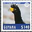 Black Curassow Crax alector