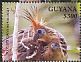 Hoatzin Opisthocomus hoazin  2018 National bird Sheet