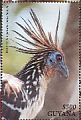 Hoatzin Opisthocomus hoazin