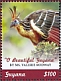 Hoatzin Opisthocomus hoazin  2019 Valerie Rodway 4v sheet