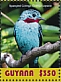 Spangled Cotinga Cotinga cayana