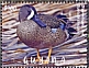 Blue-winged Teal Spatula discors