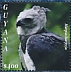 Harpy Eagle Harpia harpyja  2021 Harpy Eagle Sheet