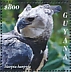 Harpy Eagle Harpia harpyja  2021 Harpy Eagle  MS