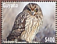 Guyana 2022 Short-eared Owl Sheet