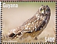 Guyana 2022 Short-eared Owl Sheet