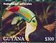 Guyana 2022 Keel-billed Toucan Sheet
