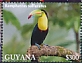 Guyana 2022 Keel-billed Toucan Sheet