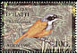 Grey-crowned Tanager Phaenicophilus poliocephalus  1999 Birds 