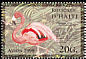 American Flamingo Phoenicopterus ruber  1999 Birds 