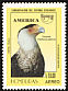 Crested Caracara Caracara plancus