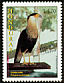 Crested Caracara Caracara plancus