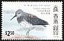 Great Knot Calidris tenuirostris