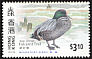 Falcated Duck Mareca falcata  1997 Hong Kong migratory birds 