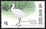 Black-faced Spoonbill Platalea minor  1997 Hong Kong migratory birds 