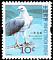 White-bellied Sea Eagle Haliaeetus leucogaster  2006 Birds definitives 