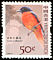 Scarlet Minivet Pericrocotus speciosus  2006 Birds definitives 