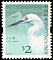 Little Egret Egretta garzetta  2006 Birds definitives 