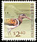 Greater Painted-snipe Rostratula benghalensis  2006 Birds definitives 