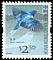 Barn Swallow Hirundo rustica  2006 Birds definitives 