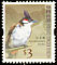 Red-whiskered Bulbul Pycnonotus jocosus