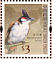 Red-whiskered Bulbul Pycnonotus jocosus