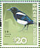 Oriental Magpie Pica serica