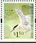 Roseate Tern Sterna dougallii  2006 Birds definitives Booklet