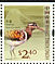 Greater Painted-snipe Rostratula benghalensis  2006 Birds definitives Booklet