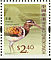 Greater Painted-snipe Rostratula benghalensis  2006 Birds definitives Booklet