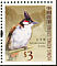 Red-whiskered Bulbul Pycnonotus jocosus