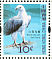 White-bellied Sea Eagle Icthyophaga leucogaster